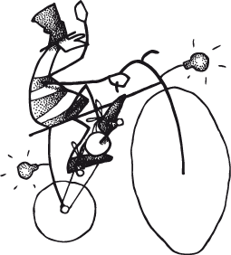 Sportagentur Prenzrad - Signet